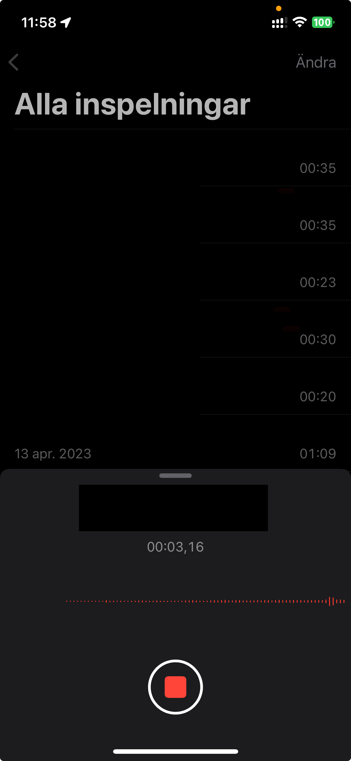 IMG_B69F8FBFDA31-1.jpeg